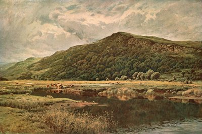 Naturezas Mirror, 1882, c1902. de Unbekannt