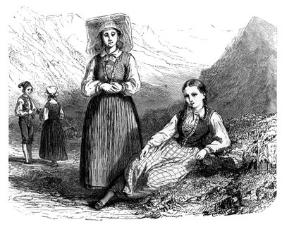 Noruegueses do Lovardalsskard, c1890 de Unbekannt