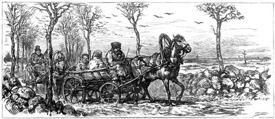 Em uma estrada perto de São Petersburgo, Rússia, 1882 de Unbekannt