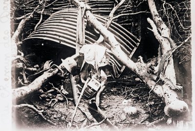 No Chemin des Dames, norte da França, c1914-c1918 de Unbekannt