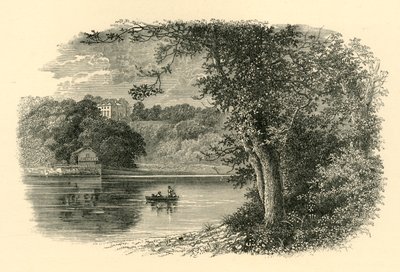 No dardo, c1890. de Unbekannt