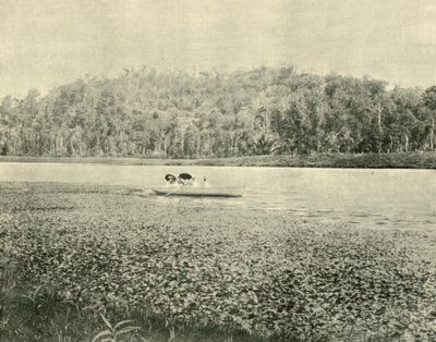No lago Enoggera, 1901. de Unbekannt