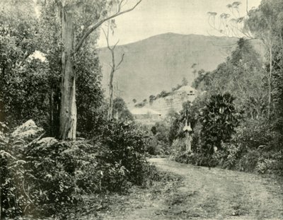 Na estrada de Illawarra, NSW, 1901. de Unbekannt