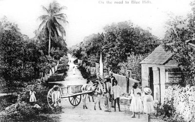 No caminho para Blue Hills, Bahamas, c1900s de Unbekannt