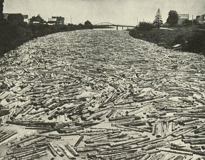A caminho das serrarias, c1948. de Unbekannt