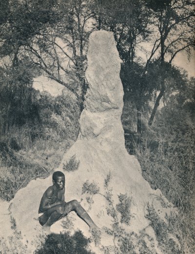 Um dos montes de formigas gigantes, peculiar a alguns distritos da África do Sul, c1900. de Unbekannt