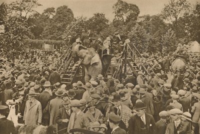Um dos sinais de nossa civilização: jardins zoológicos bem abastecidos para encantar os curiosos, c193 de Unbekannt