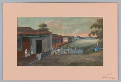 Embalagem de Chá em Peitos, 1890-1910 de Unbekannt