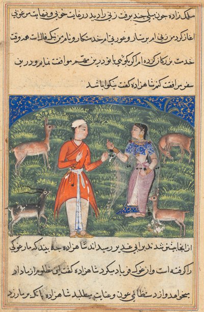 Página de Contos de um papagaio Tuti-nama: Décima oitava noite: Nikfal, a fortuna ..., c. 1560 de Unbekannt