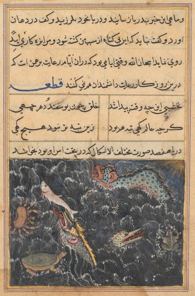 Página de Contos de um papagaio Tuti-nama: Décima primeira noite: As criaturas do mar, c. 1560 de Unbekannt