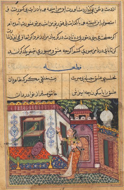 Página de Contos de um papagaio Tuti-nama: Décima primeira noite: O papagaio se dirige a Khujasta ..., c. 1560 de Unbekannt