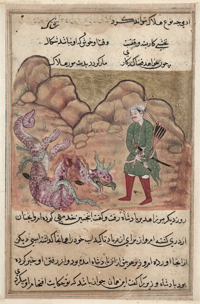 Página de Contos de um papagaio Tuti-nama: Cinquenta e duas noites: O filho do homem piedoso ..., c. 1560 de Unbekannt