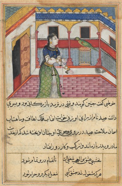 Página de Contos de um papagaio Tuti-nama: Quadragésima segunda noite: O papagaio endereça ..., c. 1560 de Unbekannt