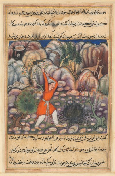 Página de Contos de um papagaio Tuti-nama: Quadragésima sétima noite: O quarto homem cava ..., c. 1560 de Unbekannt