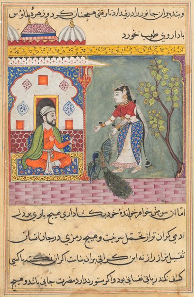Página de Contos de um papagaio Tuti-nama: Décima nona noite: A esposa dos brâmanes ..., c. 1560 de Unbekannt