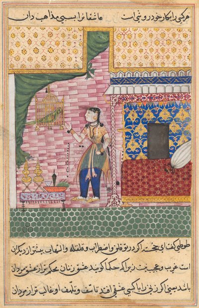 Página de Contos de um papagaio Tuti-nama: Décima sétima noite: O papagaio ..., c. 1560 de Unbekannt