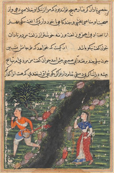 Página de Contos de um papagaio Tuti-nama: Décima sexta noite: O vagabundo atravessa ..., c. 1560 de Unbekannt