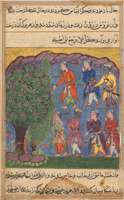 Página de Contos de um papagaio Tuti-nama: Sexta noite: Sete homens disputando posse ..., c. 1560 de Unbekannt