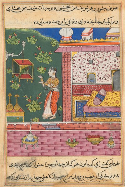 Página de Contos de um papagaio Tuti-nama: Trigésima noite: O papagaio se dirige a Khujasta ..., c. 1560 de Unbekannt