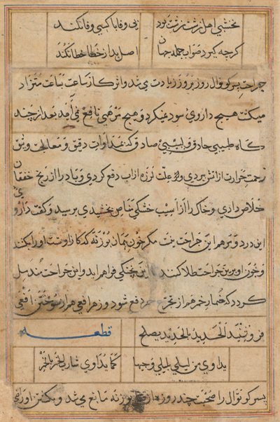 Página de Tales of a Parrot Nome: página de texto, c. 1560. de Unbekannt