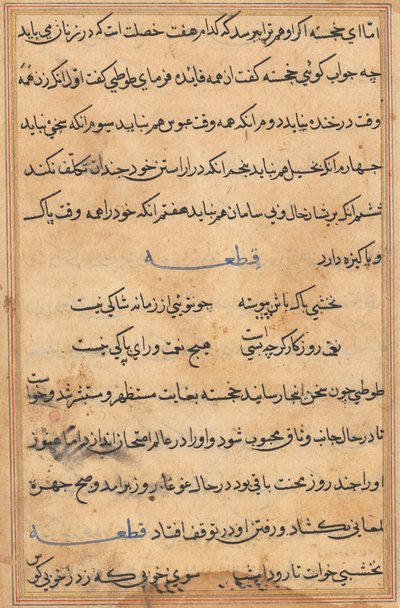 Página de Tales of a Parrot Nome: página de texto, c. 1560. de Unbekannt