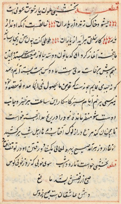 Página de Contos de um Papagaio Tuti-nama: página de texto, c. 1560. de Unbekannt