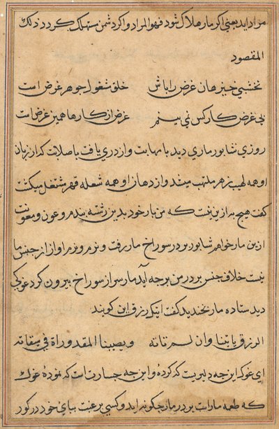Página de Contos de um Papagaio Tuti-nama: página de texto, c. 1560. de Unbekannt