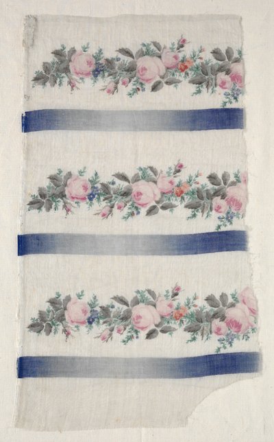 Tira Organdy pintada, meados dos anos 1800. de Unbekannt