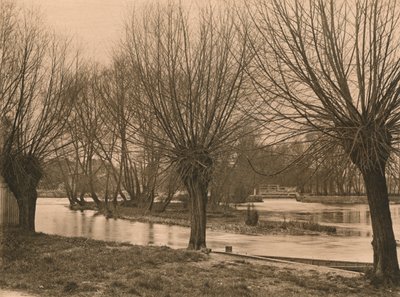 Pangbourne Weir, 1902 de Unbekannt