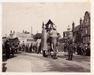 Desfile de elefantes, c 1905 de Unbekannt