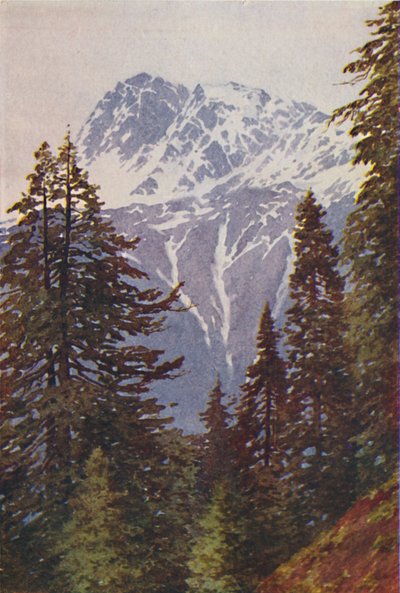 Pico no Himalaia, 1924 de Unbekannt