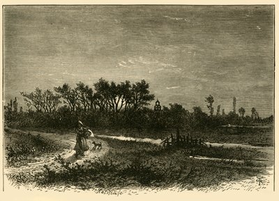 Peakirk, do corte, 1898. de Unbekannt