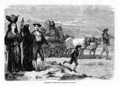 Camponeses do vale de Ossun, França, 1879 de Unbekannt