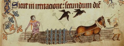 Camponeses que aram do Saltério de Luttrell, ca 1330 de Unbekannt