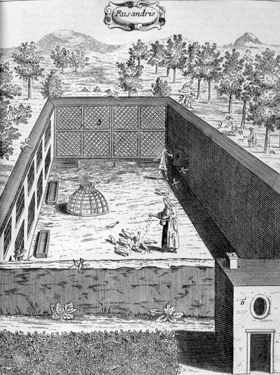 Faisão, 1775 de Unbekannt