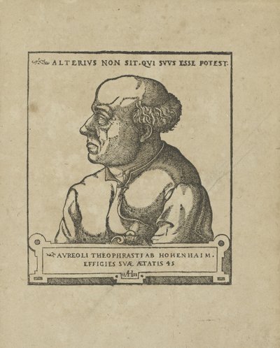 Philippus Theophrastus Aureolus Bombastus von Hohenheim Paracelsus, ca 1538. de Unbekannt
