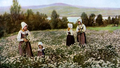Colhendo flores em um prado perto de Leksand, Suécia, c1923 de Unbekannt