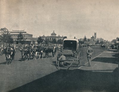Pietermaritzburg, c1900. de Unbekannt