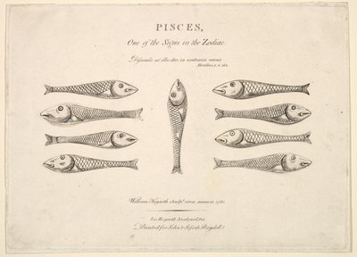 Peixes: Hogarths Quadrille Fish, ca. 1730 de Unbekannt