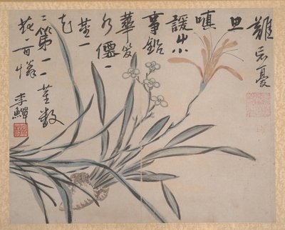Plantas e Legumes, datado de 1740. de Unbekannt