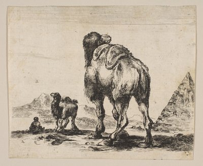 Ilustração 18: camelo visto de trás com pirâmide à direita, de Vários animais Di ..., depois de 1641. de Unbekannt
