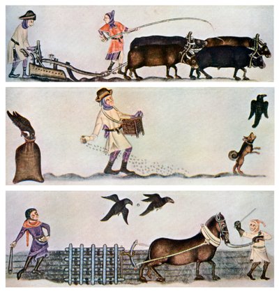 Aração, semeadura e grade, c1300-1340, c1900-1920 de Unbekannt