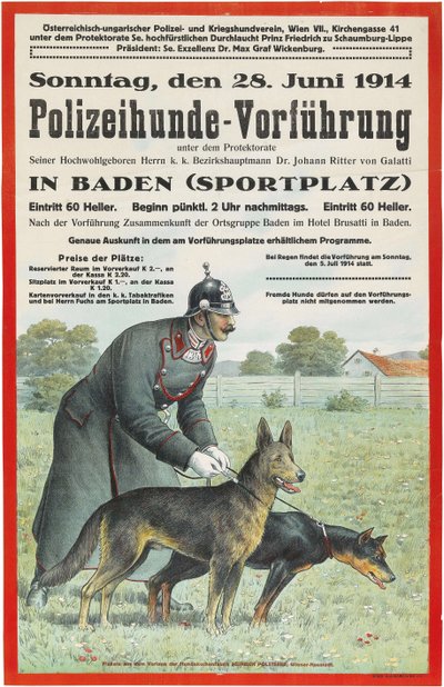 Demonstração do cão policial em Baden, 1914. de Unbekannt