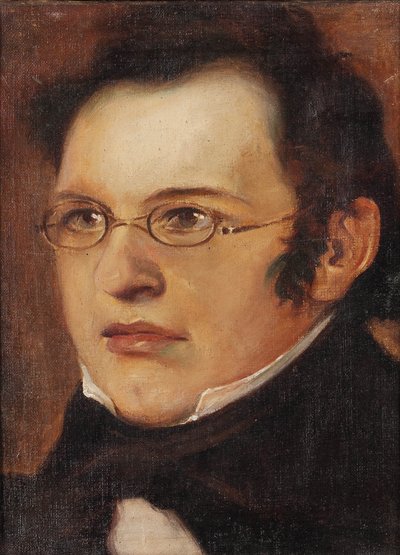 Retrato de Franz Schubert 1797-1828, Primeiro trimestre do 19º cen... de Unbekannt