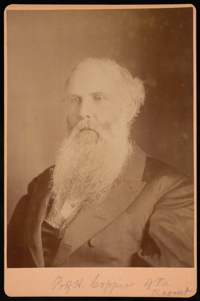 Retrato de Henry Coppee 1821-1895, 1875. de Unbekannt