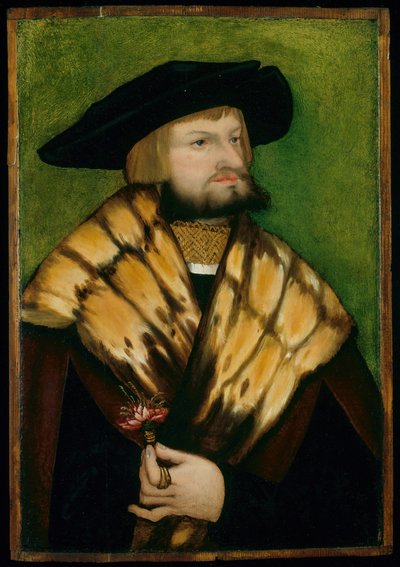 Retrato de Leonhard Fuchs, 1525. de Unbekannt