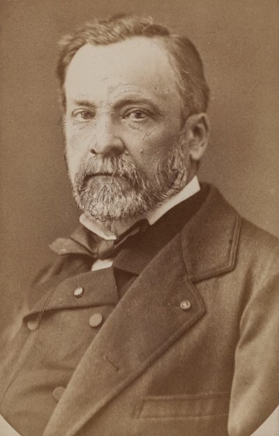 Retrato de Louis Pasteur 1822-1895, c. 1870. de Unbekannt
