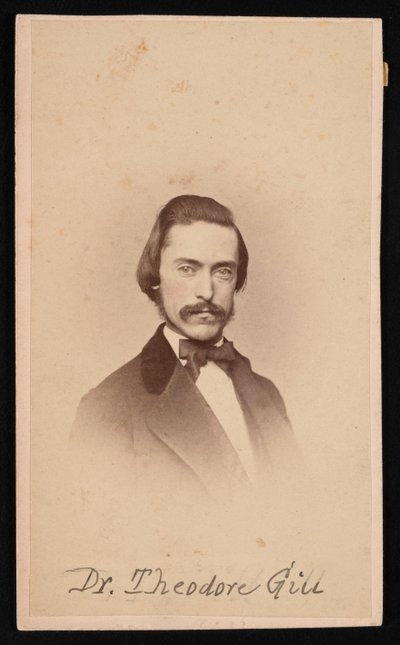Retrato de Theodore Nicholas Gill 1837-1914, por volta de 1860. de Unbekannt