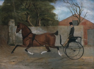 Retrato de um cavalheiro em uma carruagem, ca. 1850-60. de Unbekannt