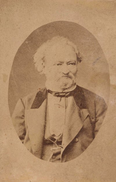 Retrato do pianista e compositor Ferenc Erkel 1810-1893, c. 1875 de Unbekannt